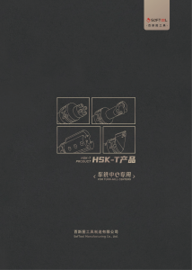 hsk t 01